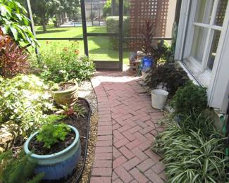 plants and plant pots