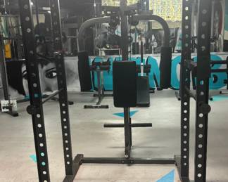 Commercial Dual-Function Pec Fly / Rear Delt Machine club-grade dual-station machine engineered to isolate the chest and rear deltoids with fluid, friction-free articulated arms. Built with thick structural steel piping and thick commercial padding that shows virtually zero wear