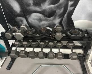 Pro-Style 2-Tier Rack & Complete Mid-Range Dumbbell Set (12–45 lbs) Covers the black-framed, 2-tier rack shown heavy-duty, black-framed 2-tier steel rack beautifully organizes a comprehensive run of classic cast-iron hex dumbbells, ranging from 12 lbs up to 45 lbs. Designed with angled tiers for effortless, ergonomic transitions between drop-sets.
