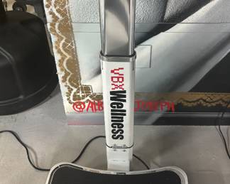 VBX Wellness Whole Body Vibration Therapy Platform   Utilizes advanced mechanical vibrations to stimulate lymphatic drainage, enhance flexibility, and dramatically cut down post-workout muscle soreness.