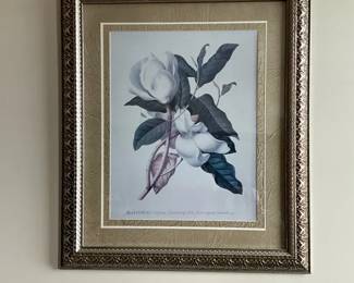 Magnolia Print