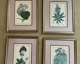 The Framed Botanicals