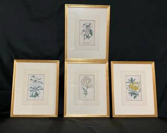 Arboretus Quadrinius Prints
