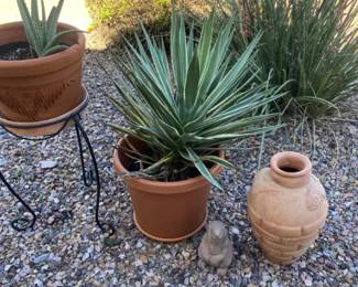 Plants and Decor