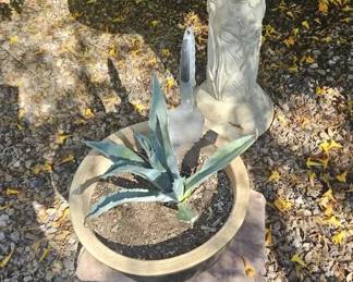 Cement Bird Bath and Plant