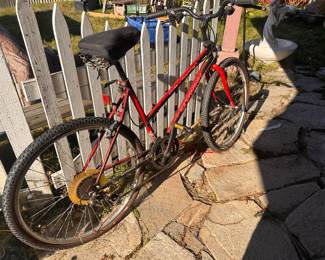 Schwinn mountain bike