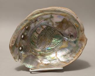 Large Iridescent Abalone Shell Display Piece