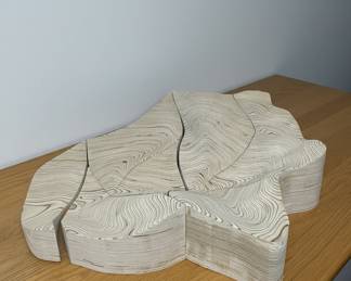 Topographical Sculpture