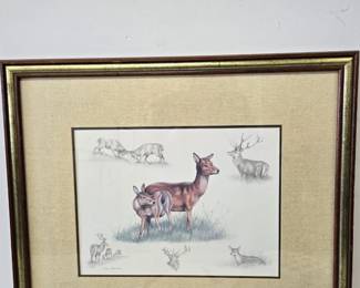 Lot #122 CK182. Biological Art Plate, ‘Deer’, by Nigel Hemming, Pencil Signed