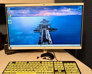 HP All-in-One Desktop Computer