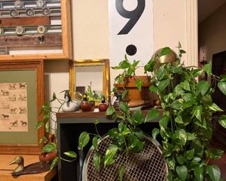 Industrial fan, crocks, mirror, plants, ducks, metal petrol sign
