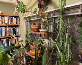 Plants!