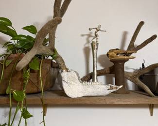 Taxidermy, pothos plant, trophy, industrial rust