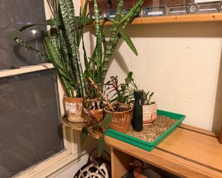 Plants, antlers, vintage radio, level art, ducks