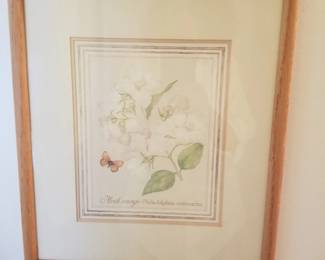 Botanical art