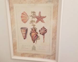 Shell art