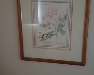 Botanical art