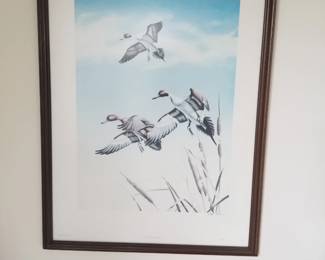 Avian art