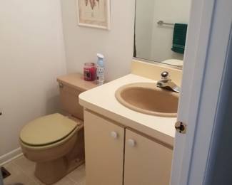 Bath vanity; toilet