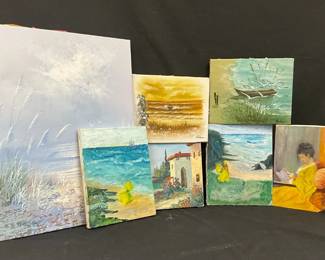 The Painted Beach Series