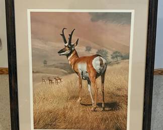 "Pronghorn" by Charles Frace Framed Wildlife Art Print