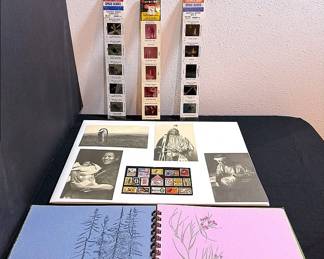 Souvenir Kennedy Space Center Slides, Souvenir Postcards And A Handmade Nature Notebook