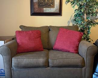 Love seat/sleeper couch (pillows included)