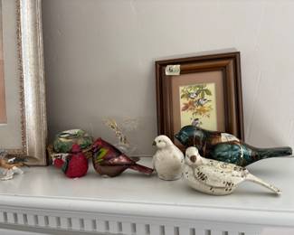 For the love of Birds