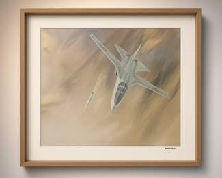 TOP GUN Grumman F-14 Tomcat - US Navy carrier-based fighter with twin tails, twin engine