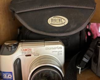 Olympus  Optical Zoom Camera Bag