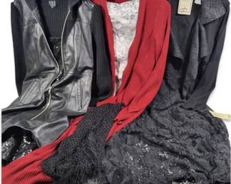 Women’s Clothing Lot of 7: BCBGMAXAZRIA, WHBM Dresses, Lace & Fashion Tops, Various Sizes