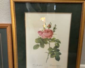 Botanical print
