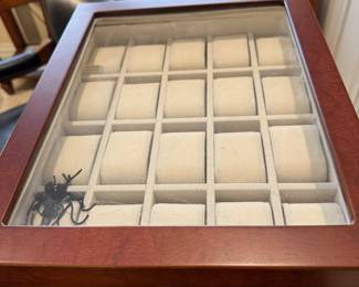 Watch Displays