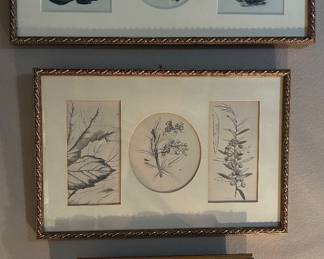 Botanicals