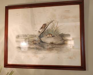 Field mice art print