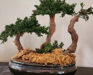 Faux bonsai