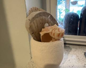 Seashells in Textured Ceramic Vessel