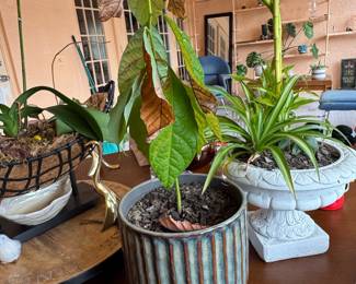 Glazed Ceramic Ribbed Planter