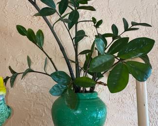 ZZ Plant in Green Ceramic Pot