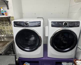Electrolux LuxCare Front Load Washer and Dryer Set