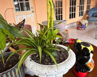 White Cast Stone Urn Planter with Live Plants