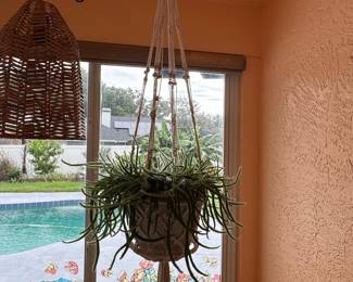 Vintage-Style Macrame Plant Hanger
