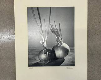 Lot #93 Otto Maurer Signed Black and White Photograph Sprouts Sprouting Onions Still Life Gelatin Silver Print