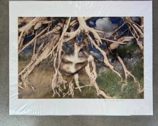 Lot #32 Keeno Kinnaird Signed Surrealist Photograph Print Potential 2008 Face in Tree Roots Matted Colorado