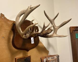 Antlers
