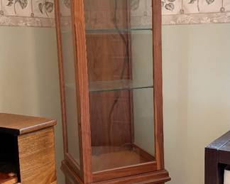 Small Tall Narrow Display Curio Cabinet (Lighted)
