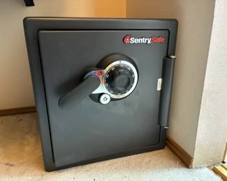 Sentry Safe Fire Safe