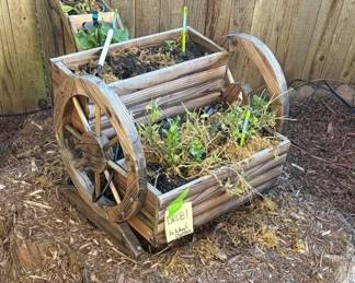 Wood Wheel Plantar