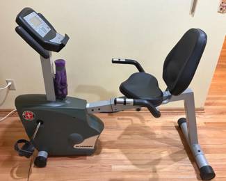 Schwinn Stationary Bike