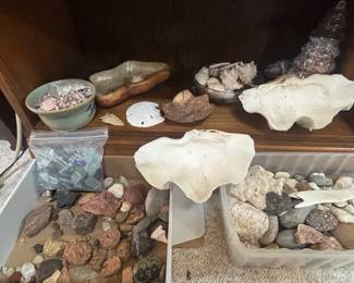 Shell And Rock Collection